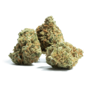 Buy Amnesia Haze Strain in the USA