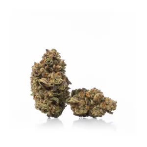 Buy Animal Cookies Strain Online USA