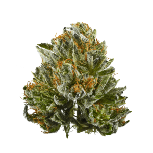 Buy Bubba Kush Strain Online USA