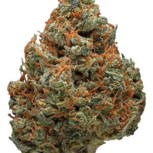 Buy Durban Poison Strain in the USA