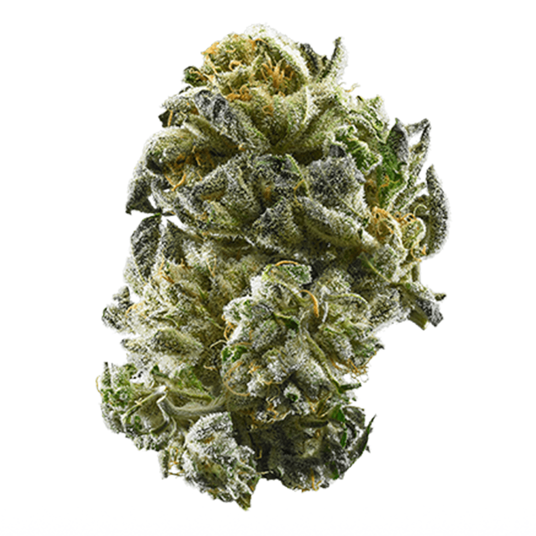 buy-girl-scout-cookies-strain-in-the-usa