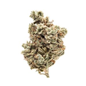 Buy Gorilla Glue #4 in the USA