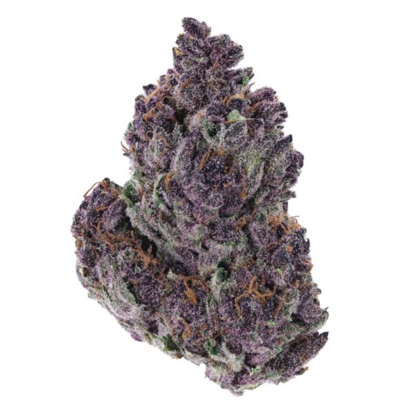 buy-granddaddy-purple-strain in the-usa