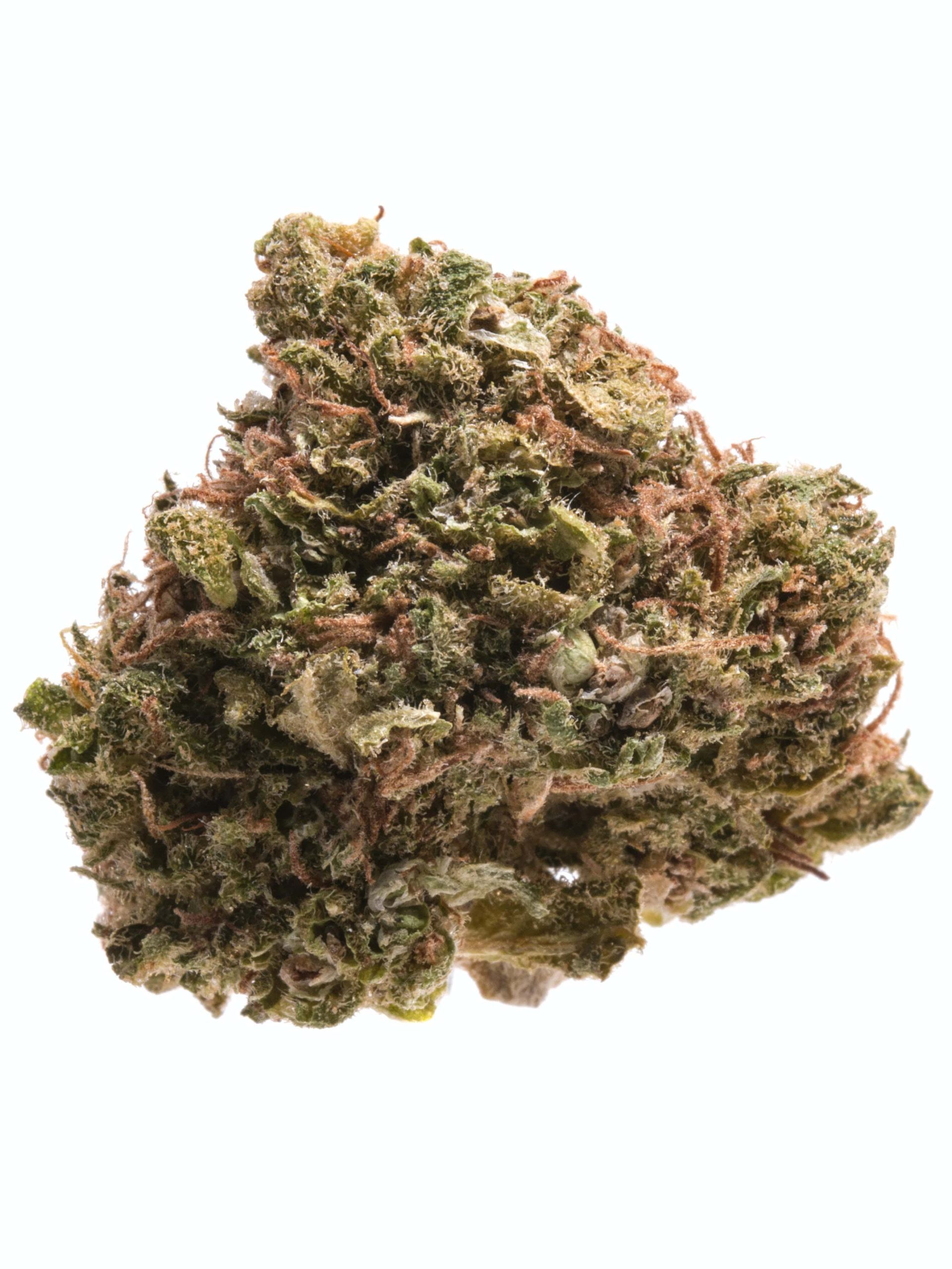 buy-jack-herer-strain in the-usa