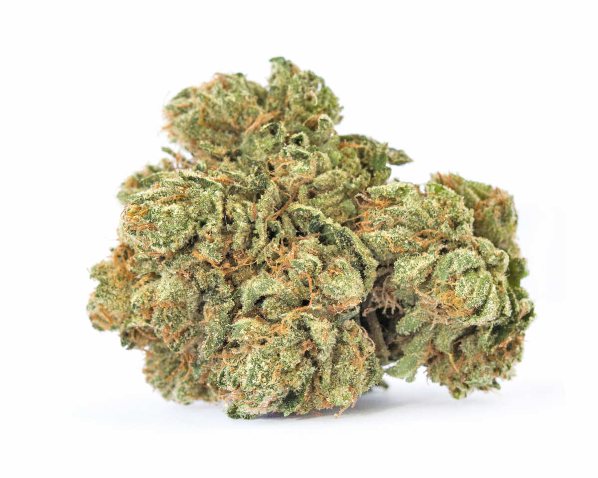 buy-maui-wowie-strain-in-the usa