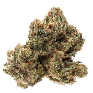 Buy OG Kush Strain in the USA