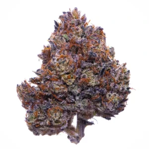 Buy Purple Haze Strain in the USA