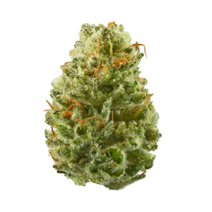 Buy Strawberry Cough Strain in the USA