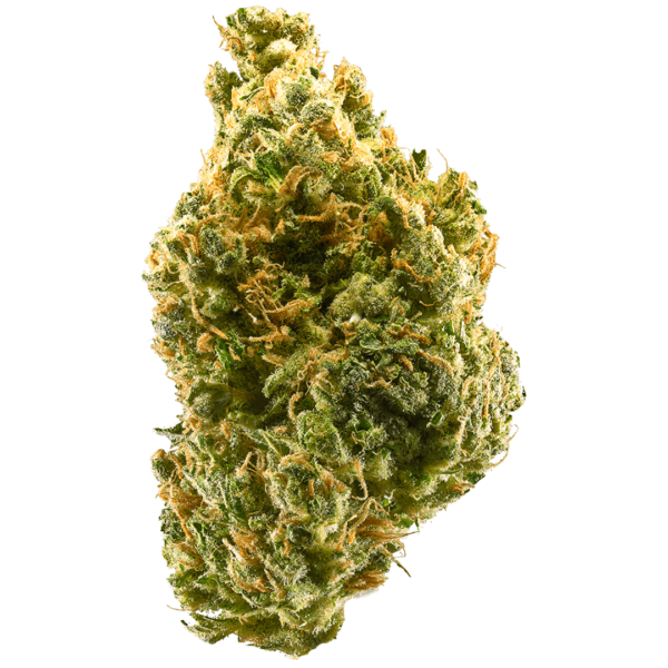 buy-tangie-strain-in-the-usa