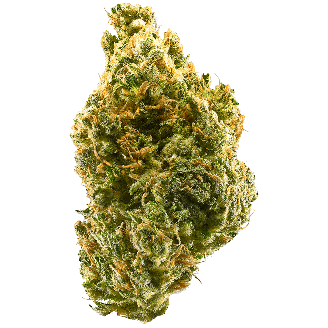 buy-tangie-strain-in-the-usa